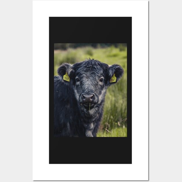 Scottish Highland Blue Grey | Unique Beautiful Travelling Home Decor | Phone Cases Stickers Wall Prints | Scottish Travel Photographer  | ZOE DARGUE PHOTOGRAPHY | Glasgow Travel Photographer Wall Art by zohams